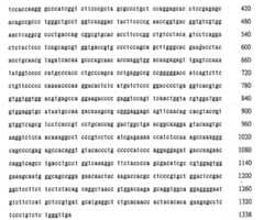 Figure 105117447-A0202-12-0029-26