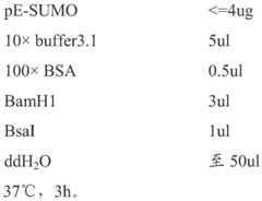 Figure BDA0001264733950000052