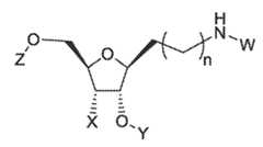 Figure imgf000166_0001