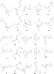 Figure FDA0002697681650000271