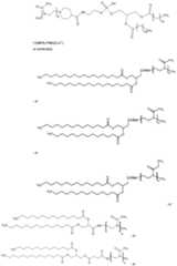 Figure imgf000202_0001