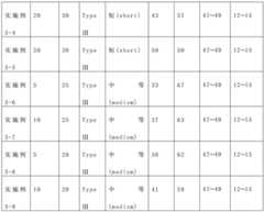 Figure BDA0002416102930000101