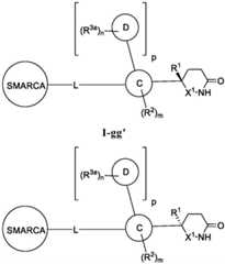 Figure BDA0003783300830000551