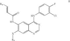 Figure US07772243-20100810-C00003
