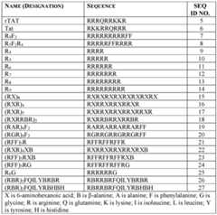 Figure imgf000030_0001