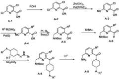Figure RE-GDA0003303574510000461