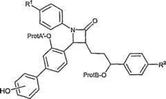Figure S2006800249696C00163
