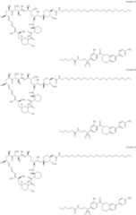 Figure US11364300-20220621-C00455