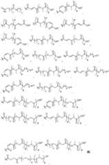 Figure FDA0002537542890000101