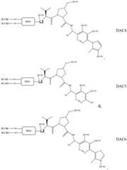 Figure FDA0004113777300000071