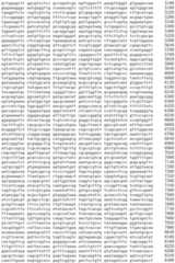 Figure IDA0002536600790000931