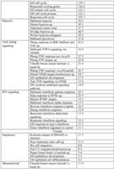 Figure imgf000346_0001