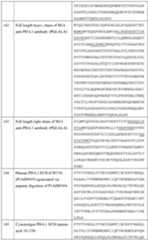 Figure imgf000175_0001