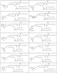 Figure imgf000225_0001