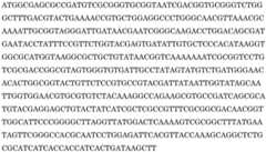 Figure BDA0002967831600000142