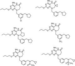 Figure BDA0000075082050002301