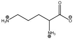 Figure imgf000008_0004