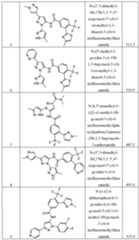 Figure imgf000015_0001