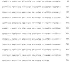 Figure 108123466-A0305-02-0569-528