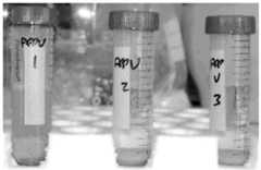 Figure imgf000044_0003