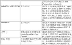 Figure GDA0002992446570001511