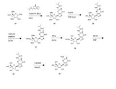 Figure imgf000083_0001