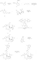 Figure US07829665-20101109-C00475