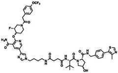 Figure BDA0002964098100002351