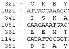 Figure imgf000085_0001