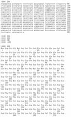 Figure IDA00002091897102701