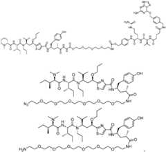 Figure FDF0000007358010000111