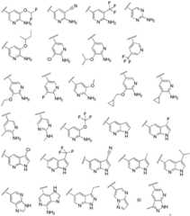 Figure FDA0002486010530000061