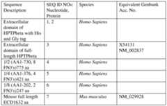 Figure imgf000012_0001