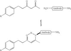 Figure US08293714-20121023-C00021