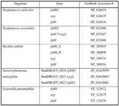 Figure imgf000039_0001