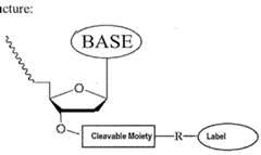 Figure imgf000370_0001
