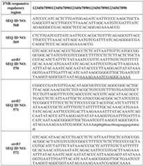 Figure imgf000396_0001