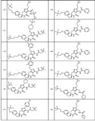 Figure JPOXMLDOC01-appb-T000092