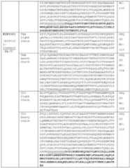 Figure imgf000098_0001