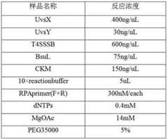 Figure 519486DEST_PATH_IMAGE008