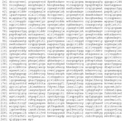 Figure BDA0002824856140000201