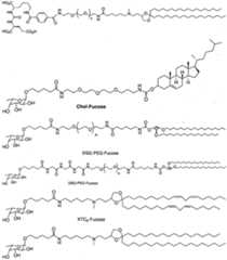 Figure imgf000064_0001