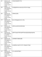 Figure imgf000089_0001