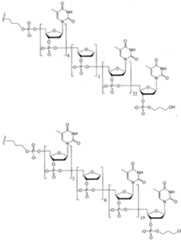 Figure imgf000156_0001