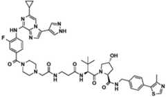 Figure BDA0002964098100001451