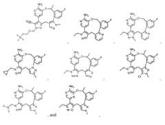 Figure imgf000041_0002