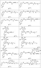 Figure BDA0003285627320001081