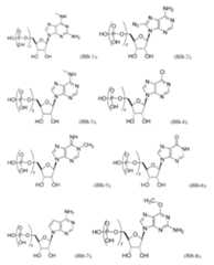 Figure 2022122923000467