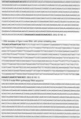 Figure imgf000067_0001