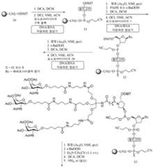 Figure 112016114379466-pct00144